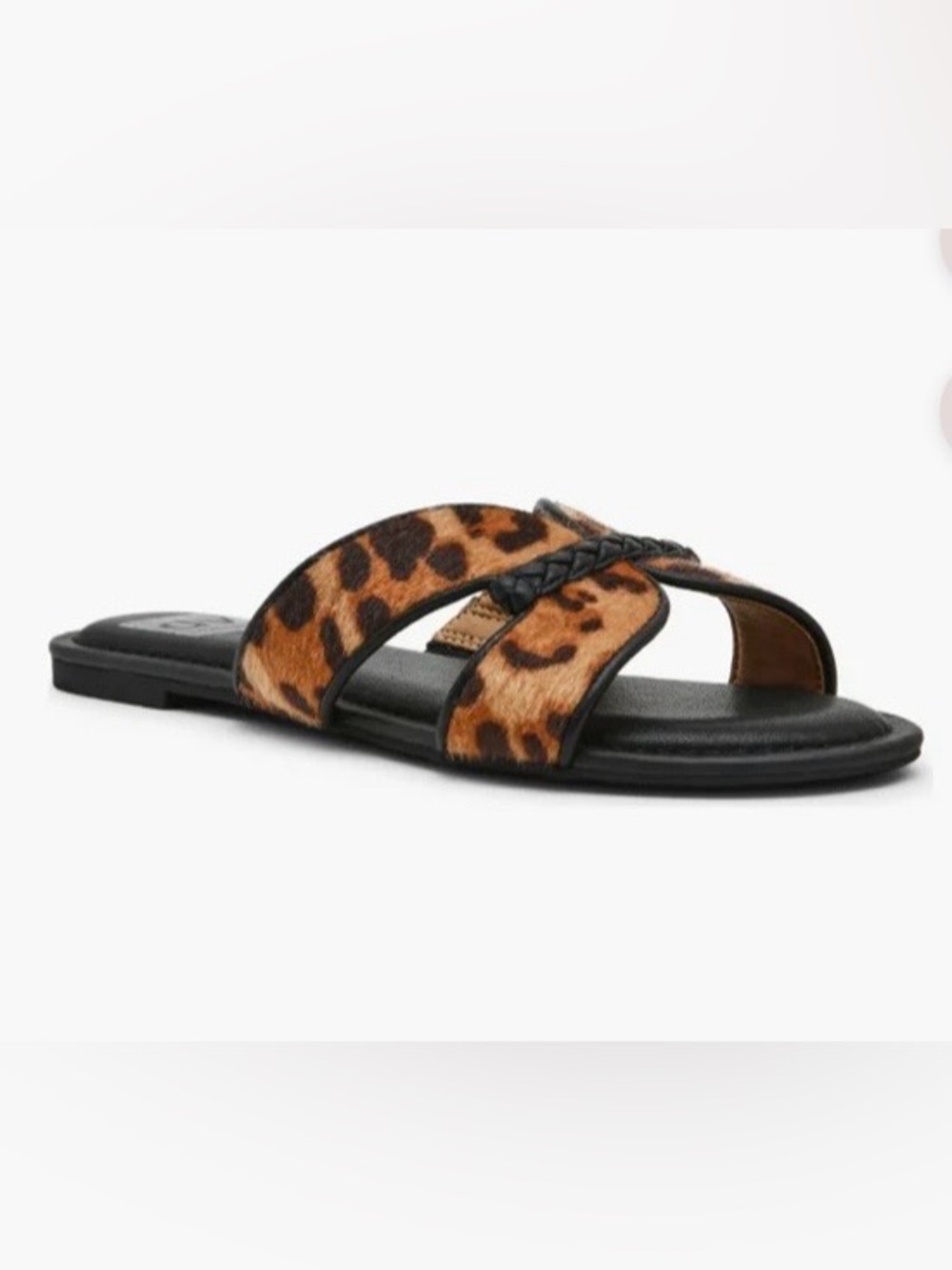 DV Dolce Vita GEEYA Women’s Leopard Print Slide Sandals . Sz 7.5. NWT